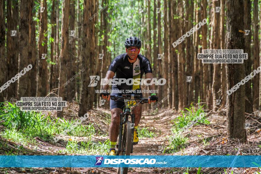 3° Desafio 100km de Terra