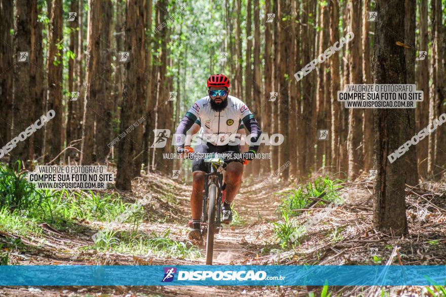 3° Desafio 100km de Terra