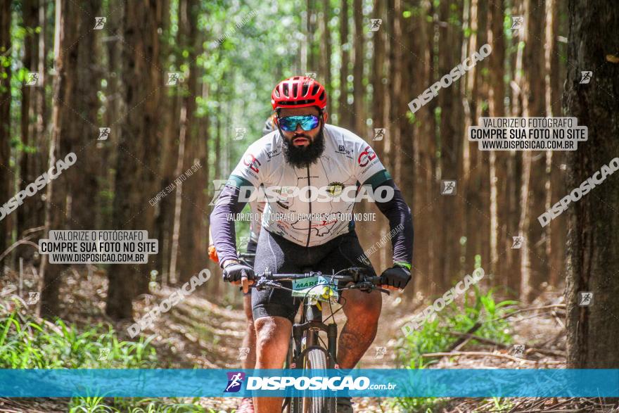 3° Desafio 100km de Terra