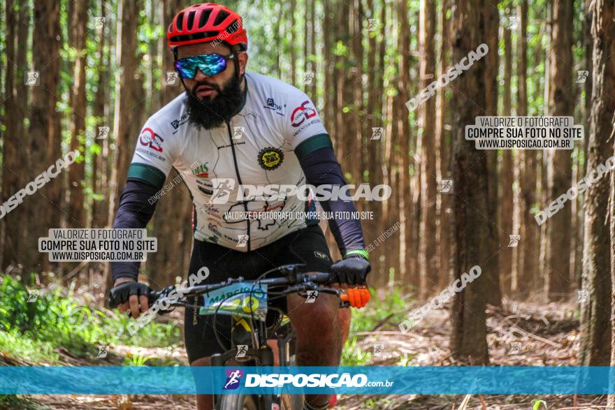 3° Desafio 100km de Terra