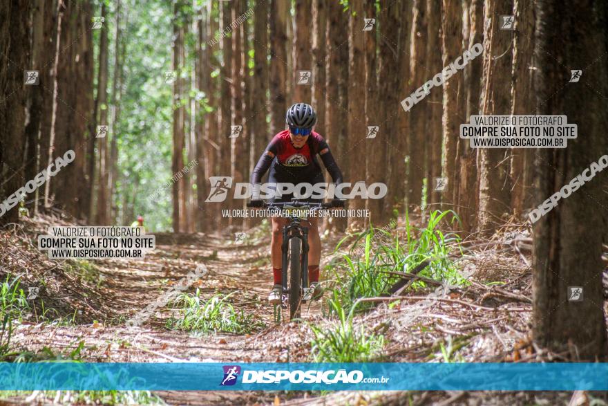 3° Desafio 100km de Terra