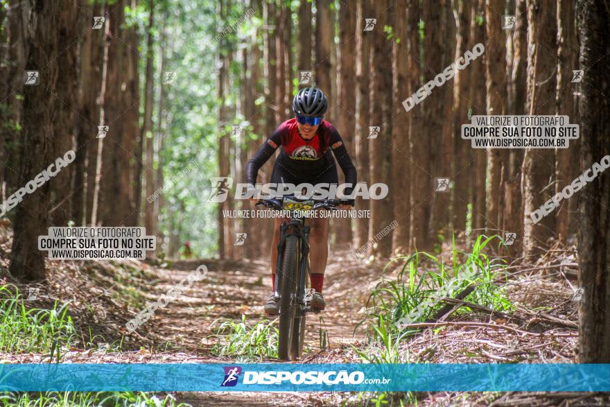 3° Desafio 100km de Terra