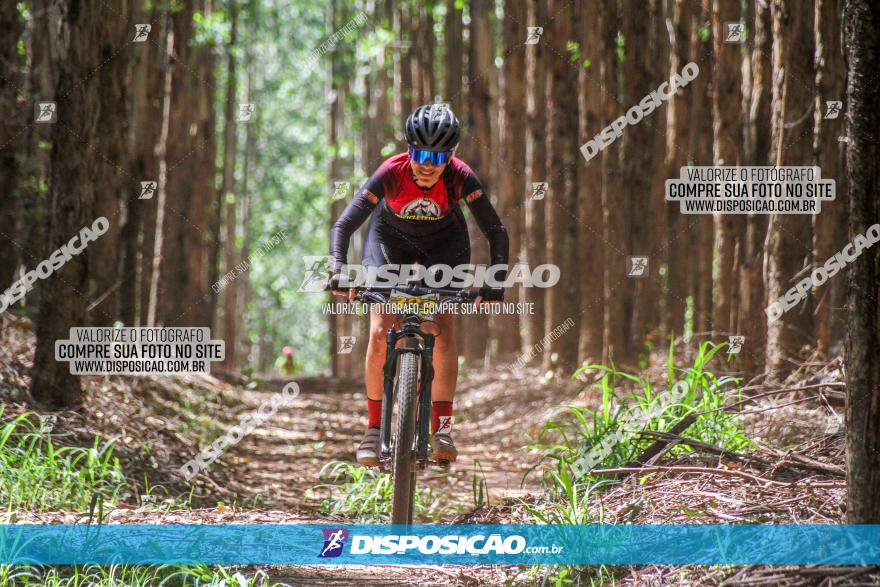 3° Desafio 100km de Terra