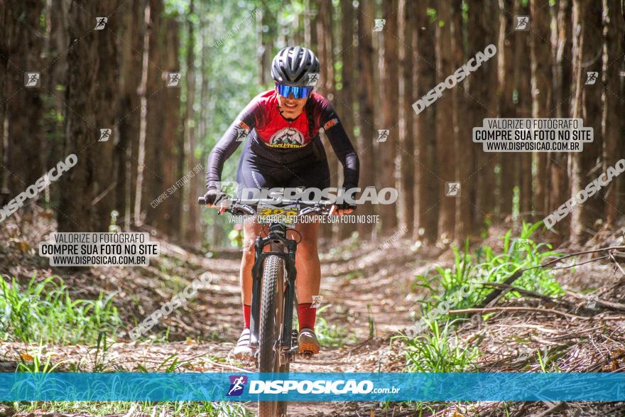 3° Desafio 100km de Terra