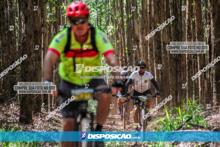 3° Desafio 100km de Terra