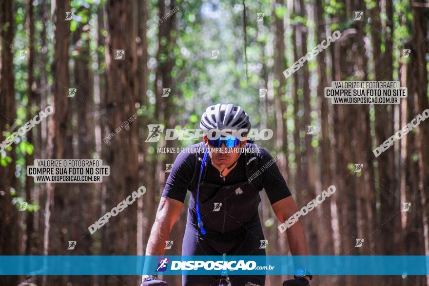 3° Desafio 100km de Terra