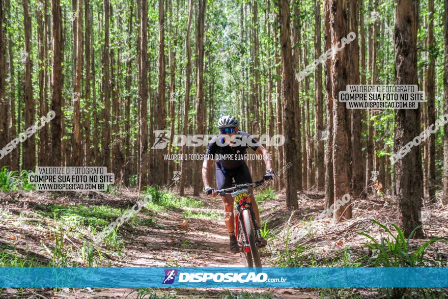 3° Desafio 100km de Terra