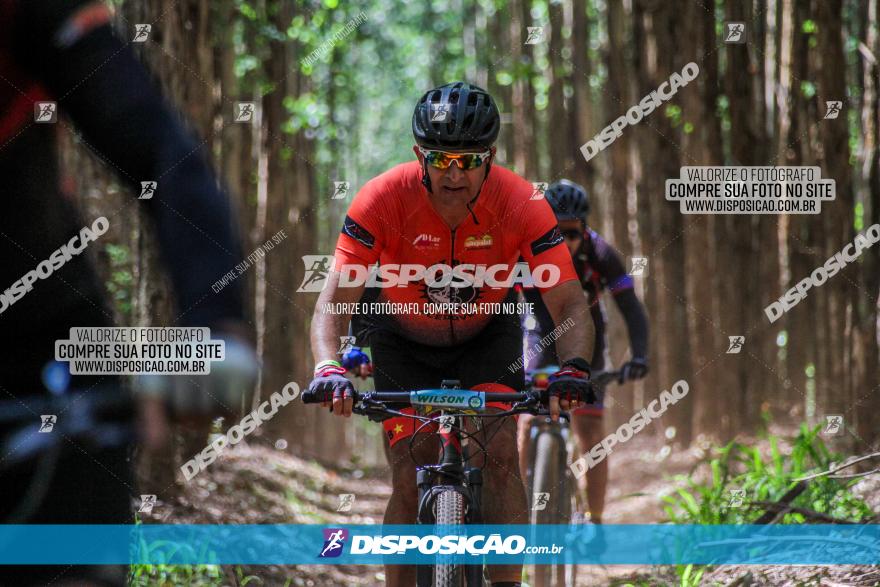 3° Desafio 100km de Terra