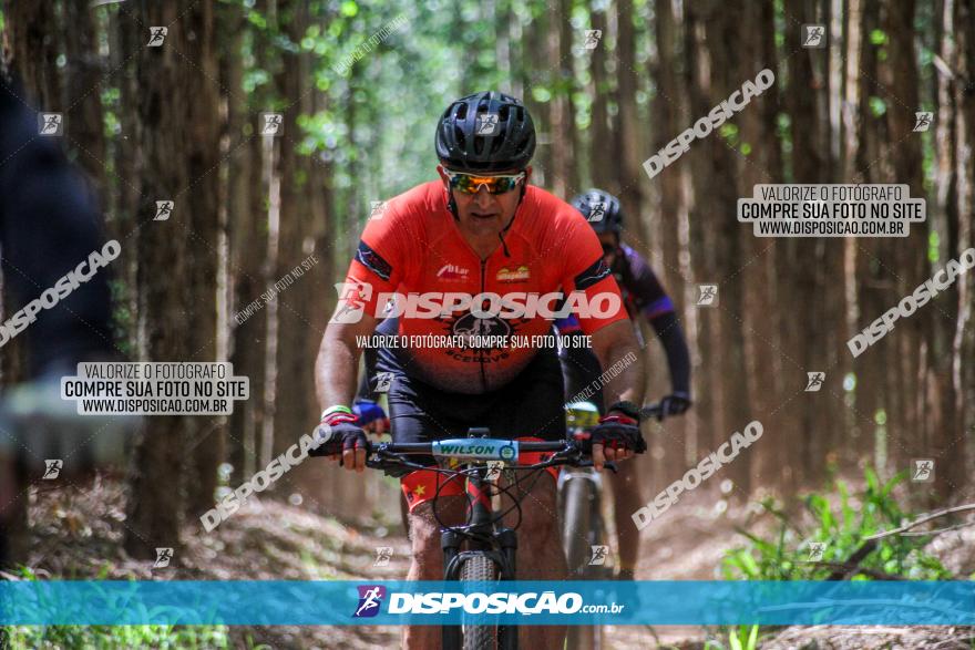 3° Desafio 100km de Terra