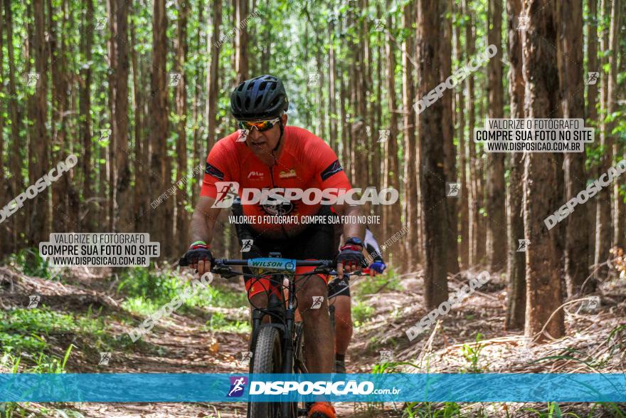 3° Desafio 100km de Terra