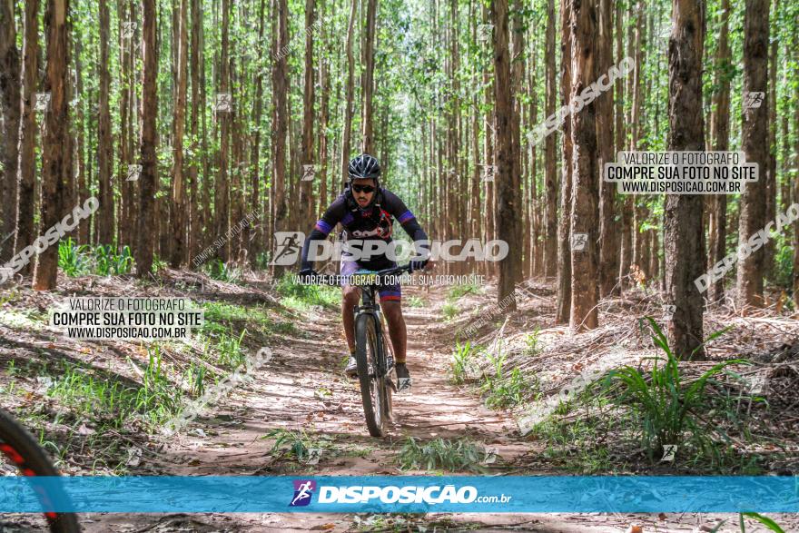 3° Desafio 100km de Terra