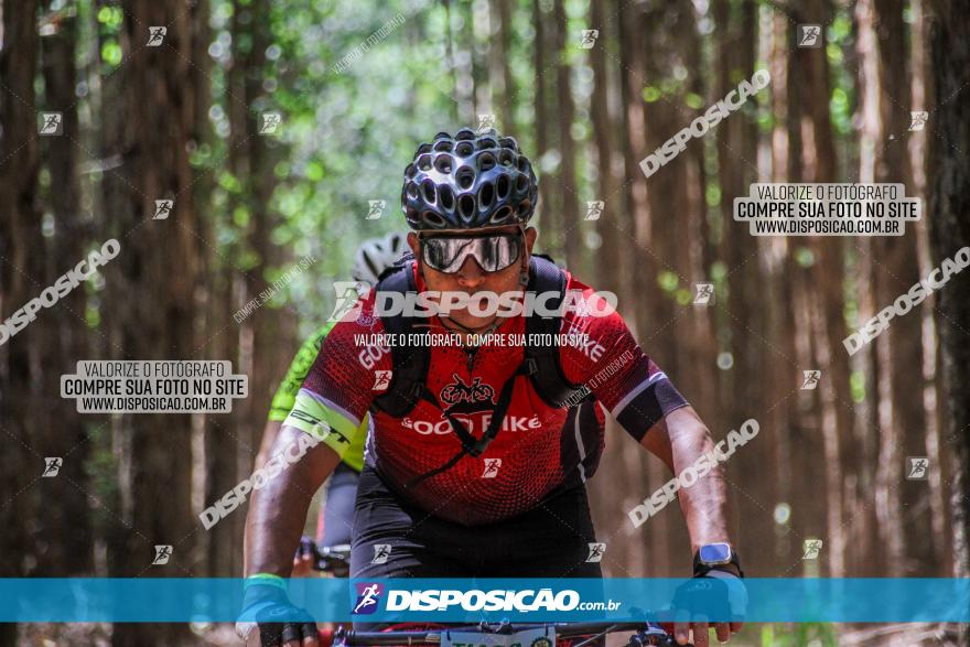 3° Desafio 100km de Terra