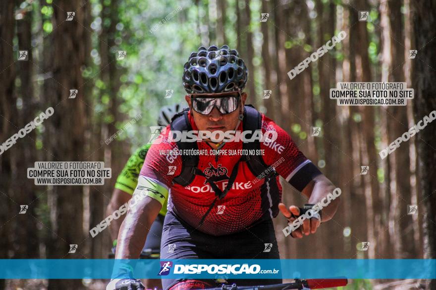 3° Desafio 100km de Terra