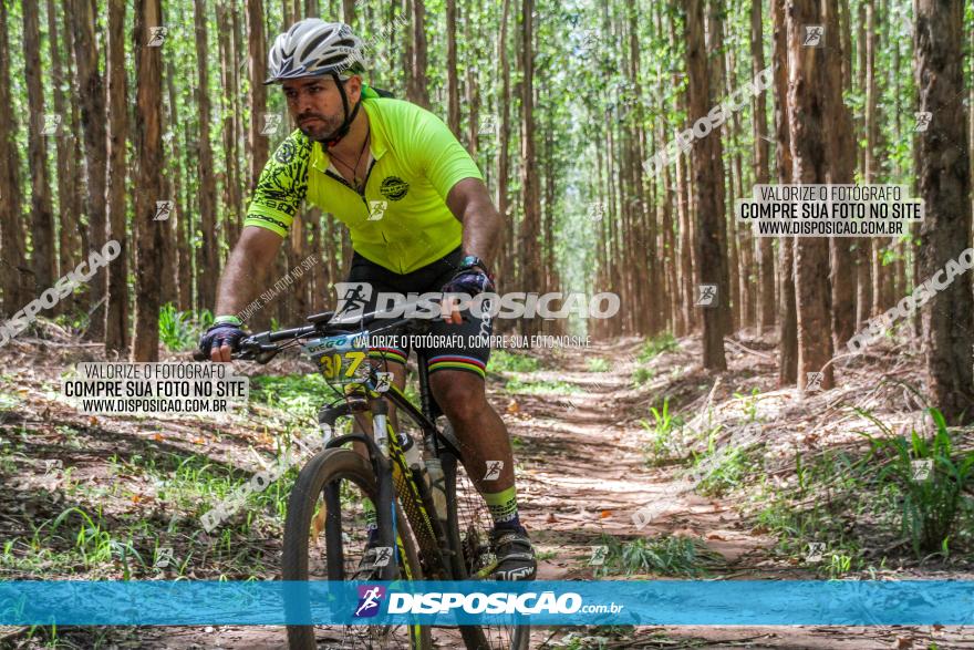 3° Desafio 100km de Terra