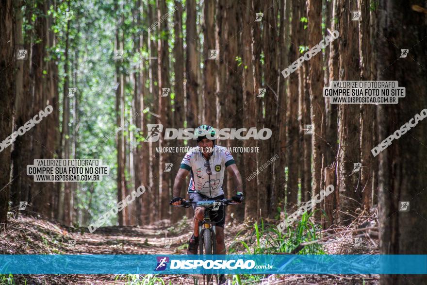 3° Desafio 100km de Terra