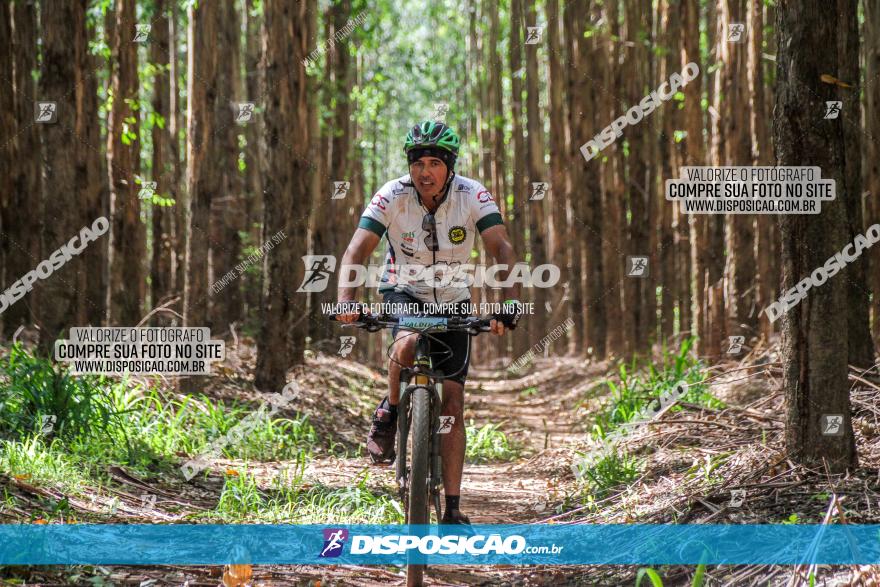 3° Desafio 100km de Terra