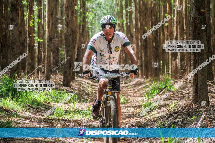 3° Desafio 100km de Terra