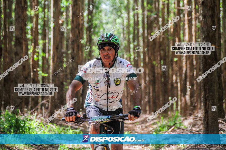 3° Desafio 100km de Terra