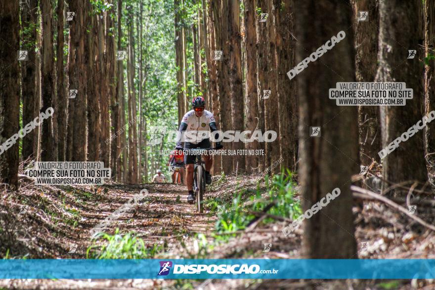 3° Desafio 100km de Terra