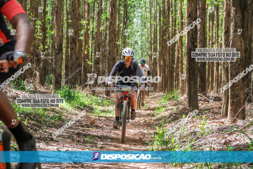 3° Desafio 100km de Terra