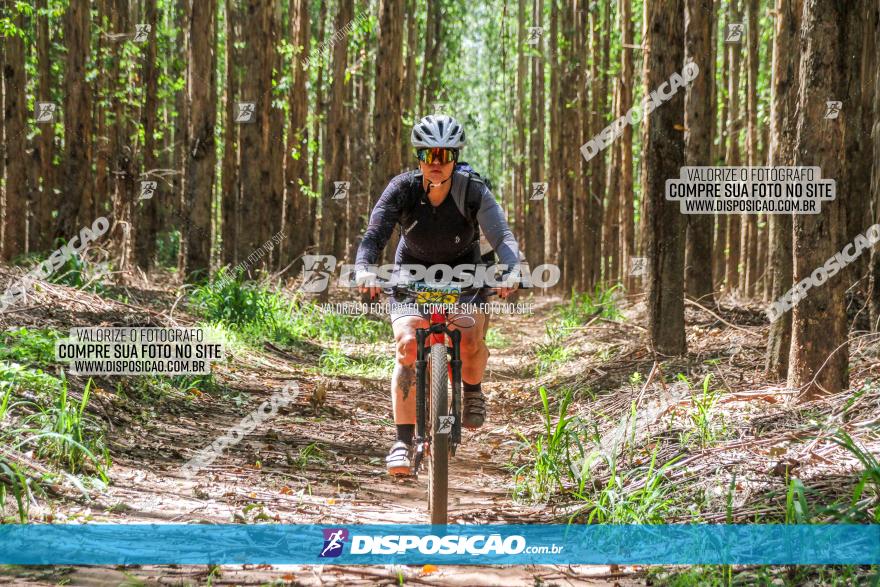 3° Desafio 100km de Terra