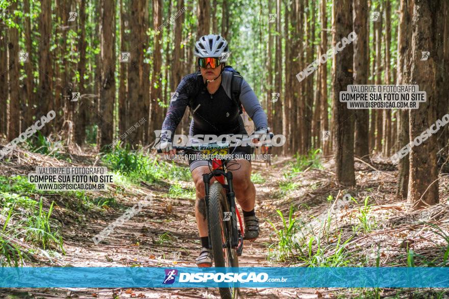 3° Desafio 100km de Terra