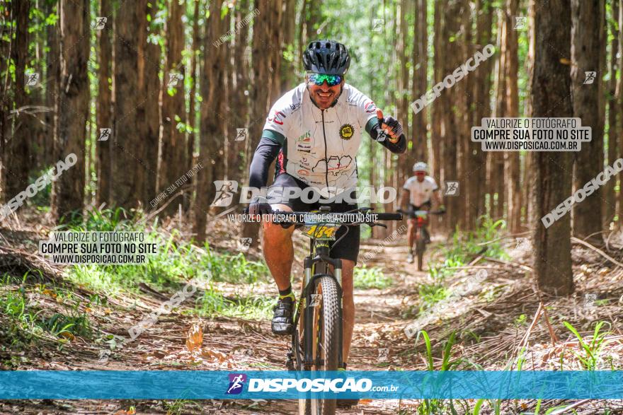 3° Desafio 100km de Terra