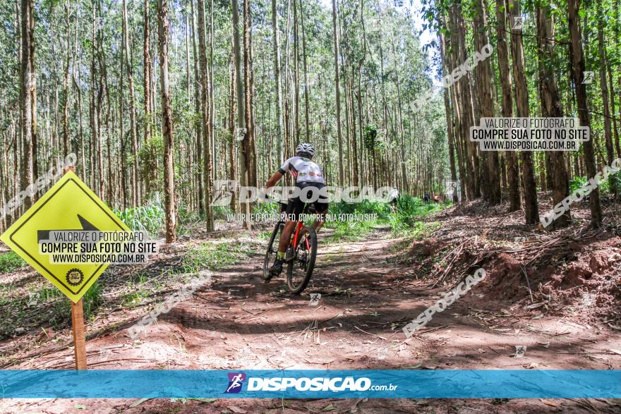 3° Desafio 100km de Terra