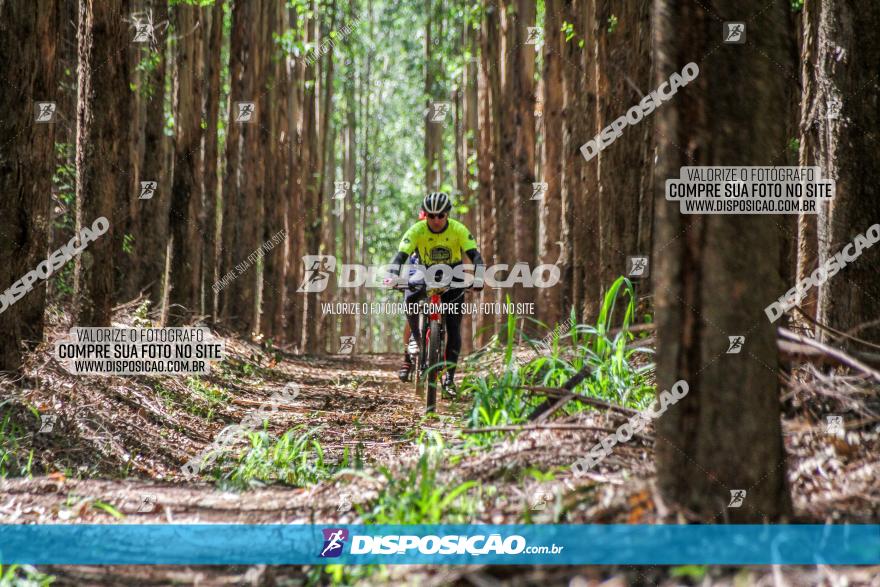 3° Desafio 100km de Terra