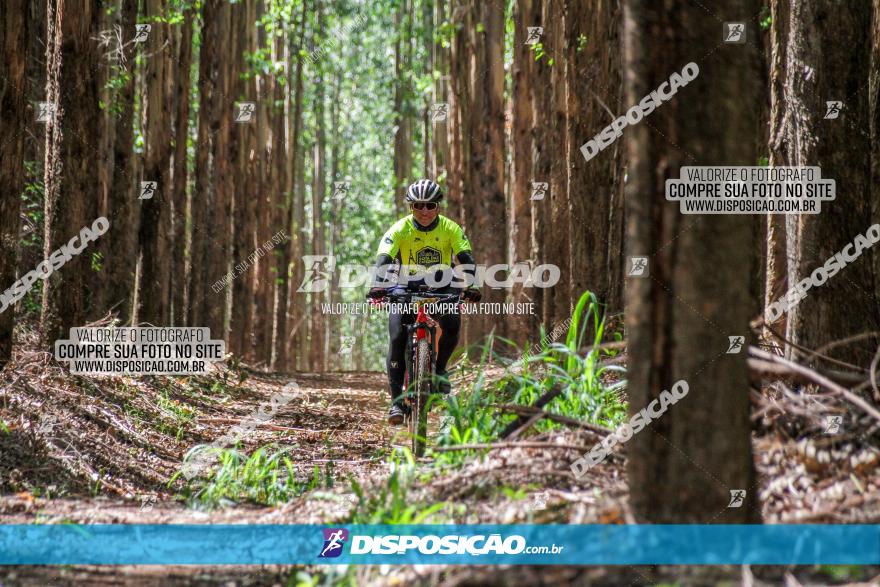 3° Desafio 100km de Terra