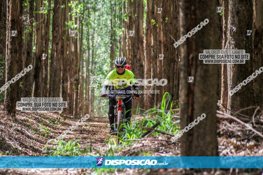 3° Desafio 100km de Terra