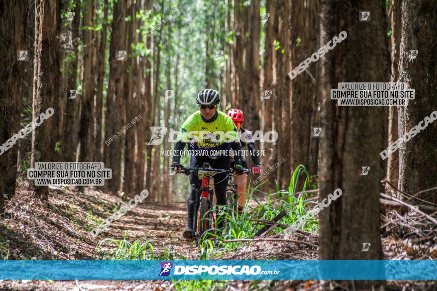 3° Desafio 100km de Terra