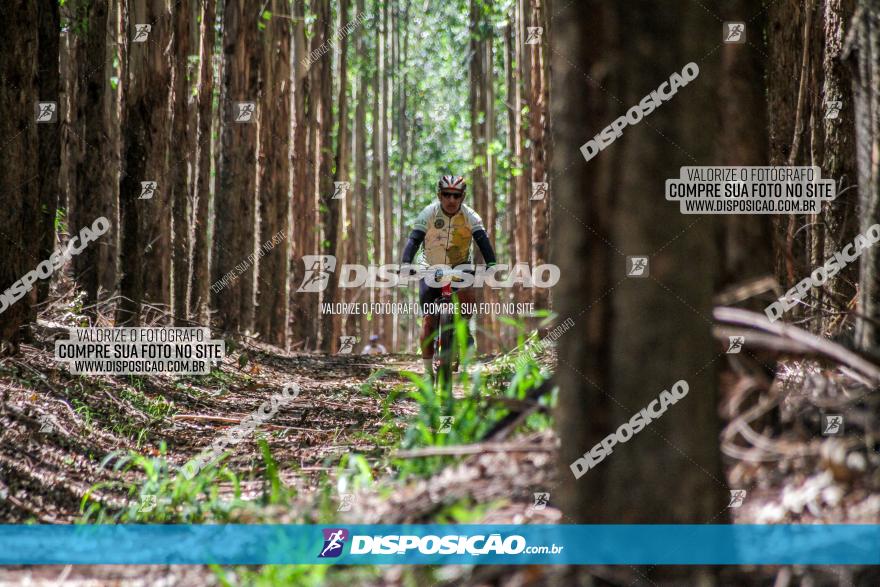 3° Desafio 100km de Terra