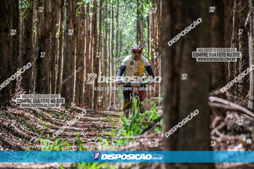 3° Desafio 100km de Terra