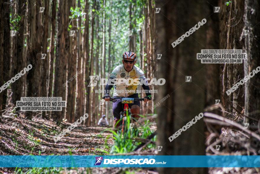 3° Desafio 100km de Terra