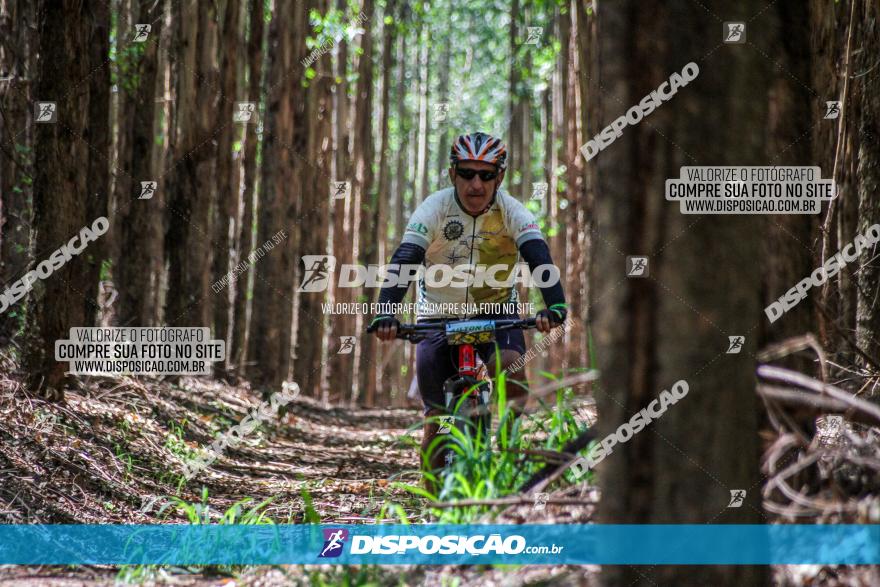 3° Desafio 100km de Terra