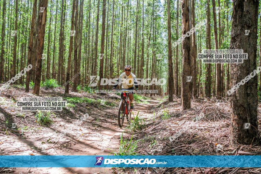 3° Desafio 100km de Terra