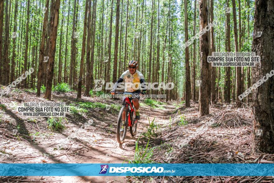 3° Desafio 100km de Terra