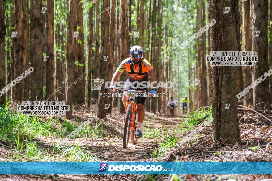 3° Desafio 100km de Terra