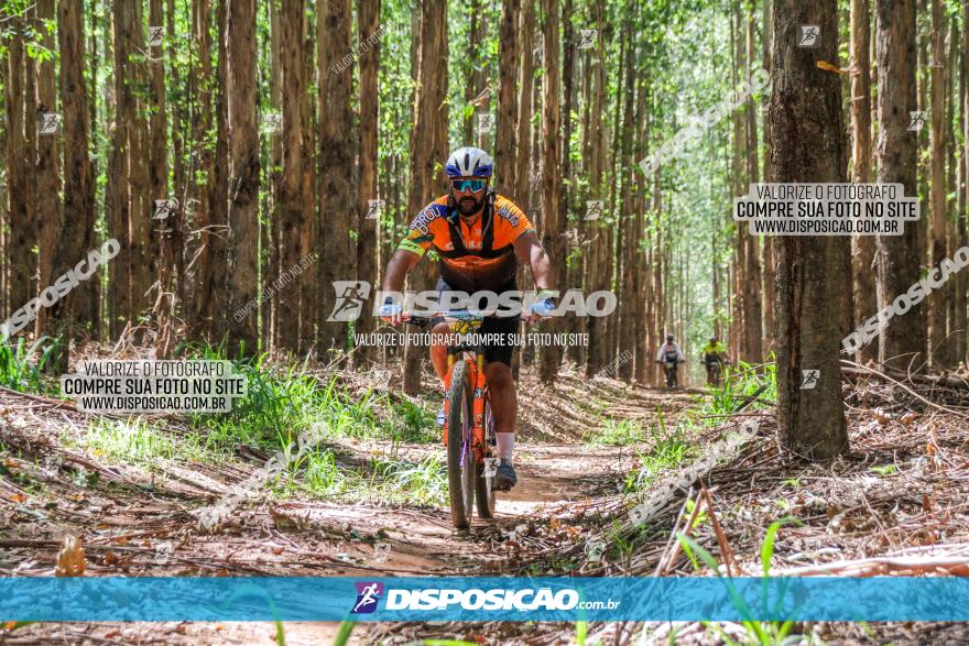 3° Desafio 100km de Terra