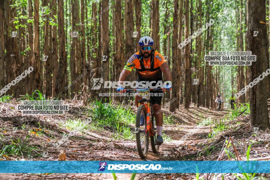 3° Desafio 100km de Terra