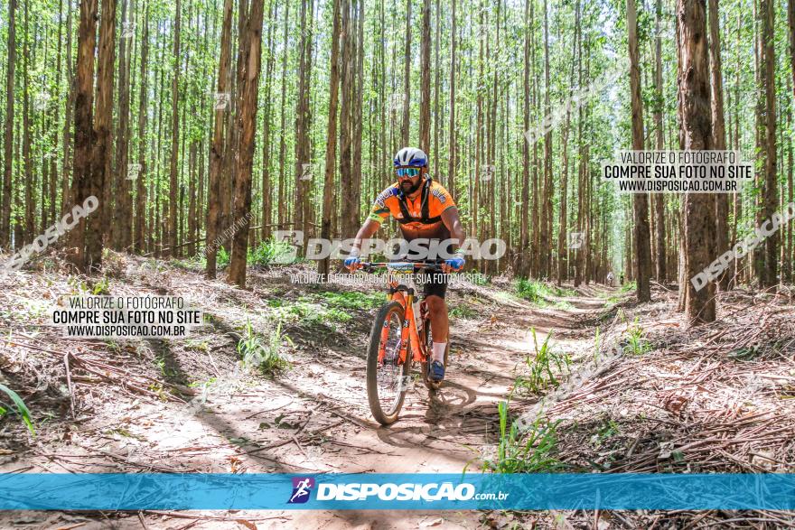 3° Desafio 100km de Terra