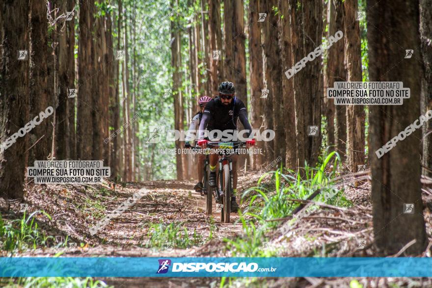 3° Desafio 100km de Terra