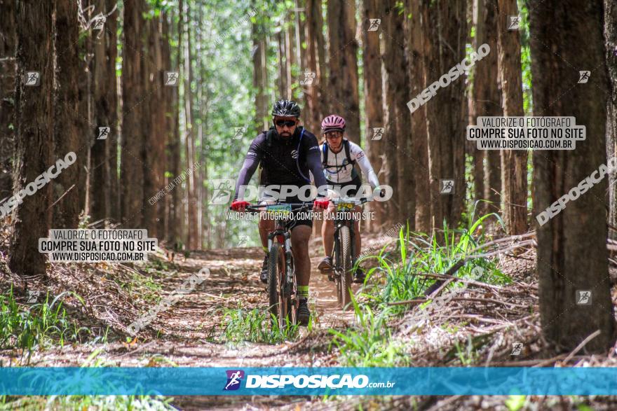 3° Desafio 100km de Terra