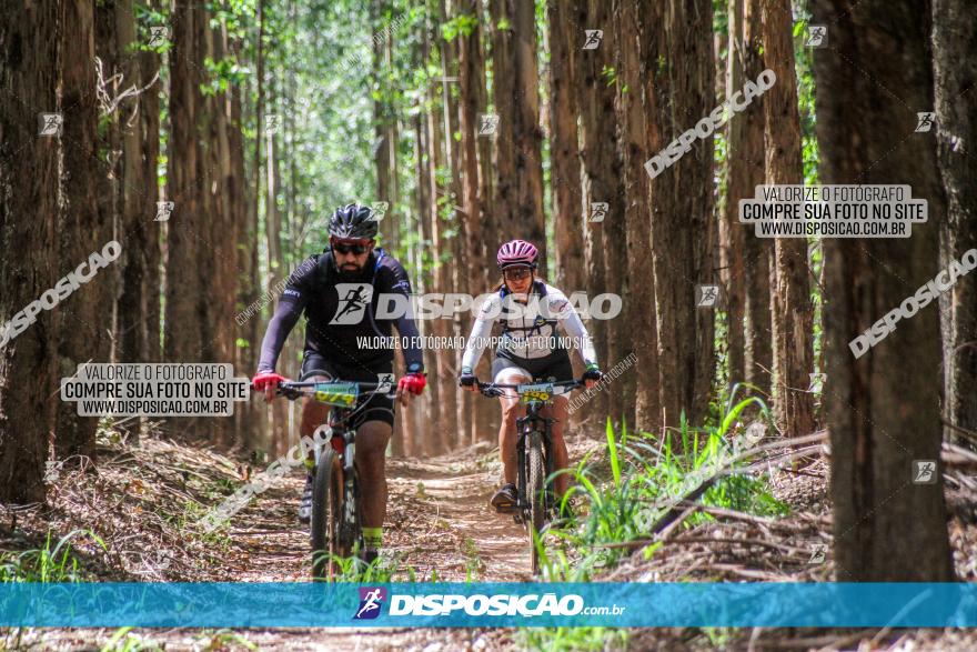 3° Desafio 100km de Terra