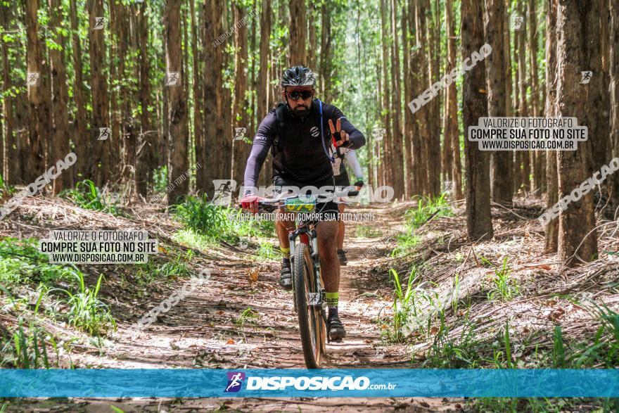 3° Desafio 100km de Terra