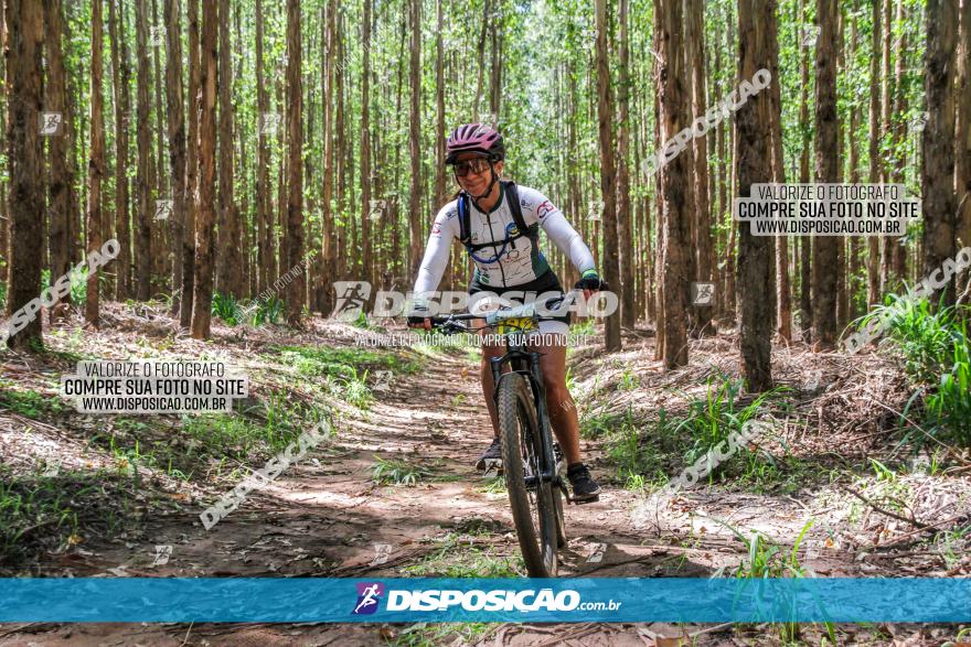 3° Desafio 100km de Terra