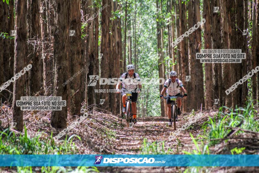 3° Desafio 100km de Terra