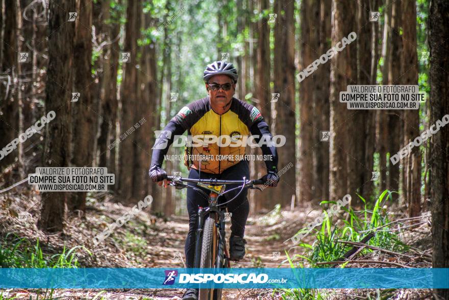 3° Desafio 100km de Terra