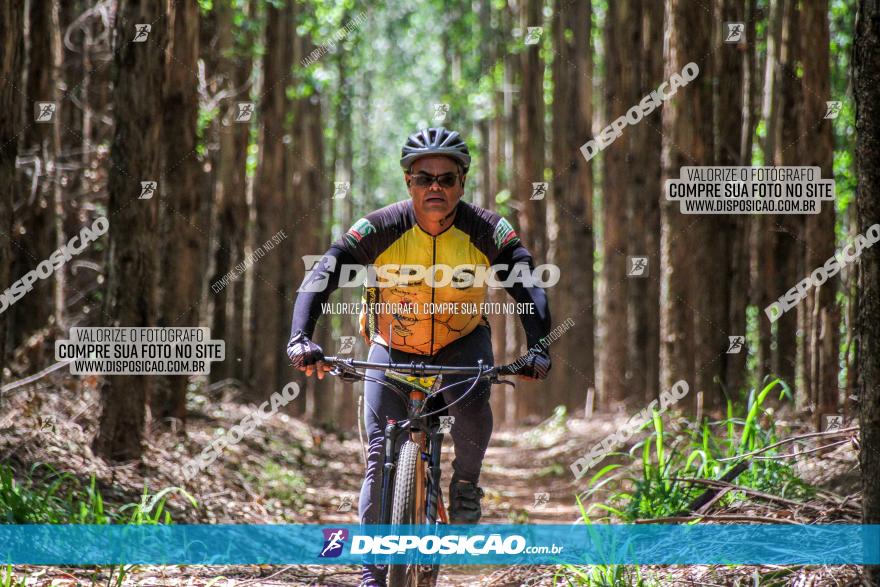 3° Desafio 100km de Terra